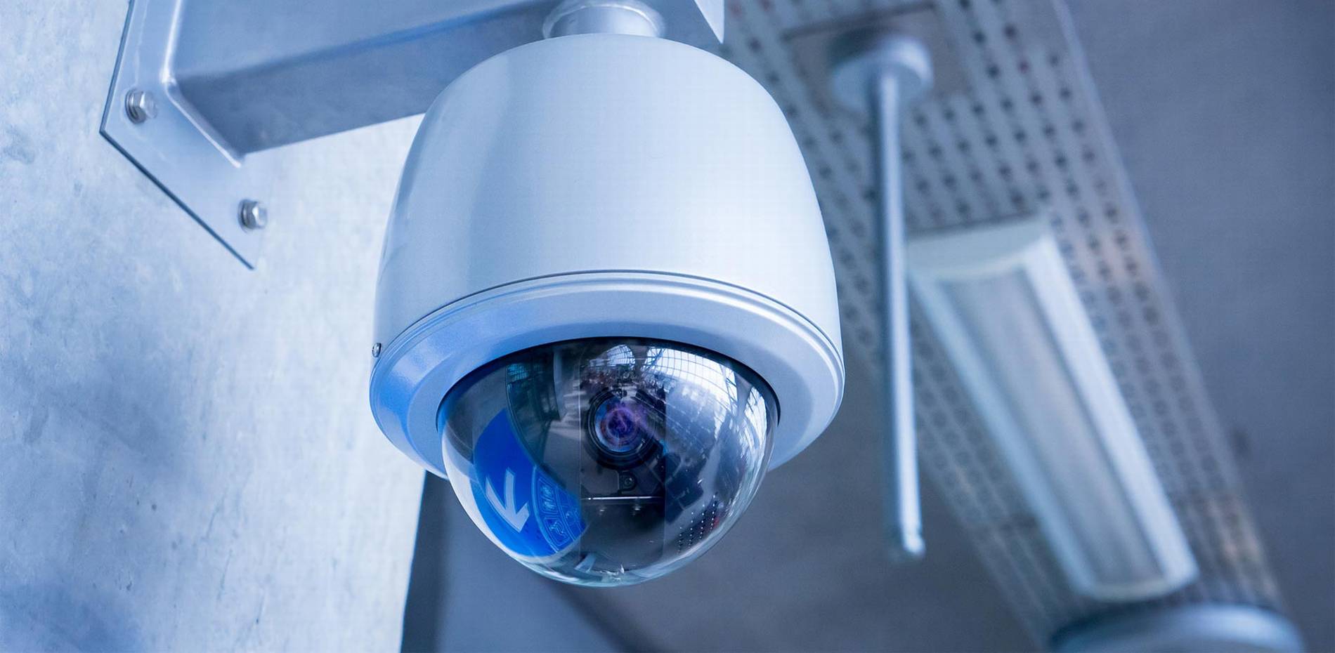 #1 Best Security Camera Company: CAT6 CAT7 CAT8 Network vs Wiring Installer Low Voltage Fiber Optic Belle Glade